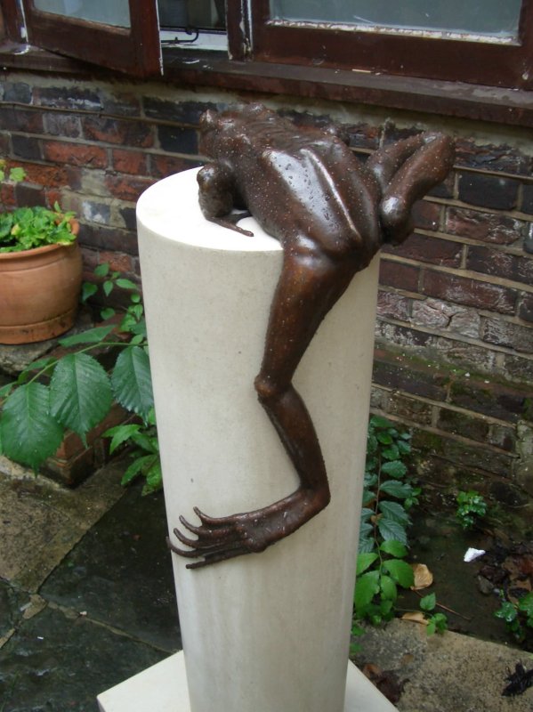 Frog on a Pillar