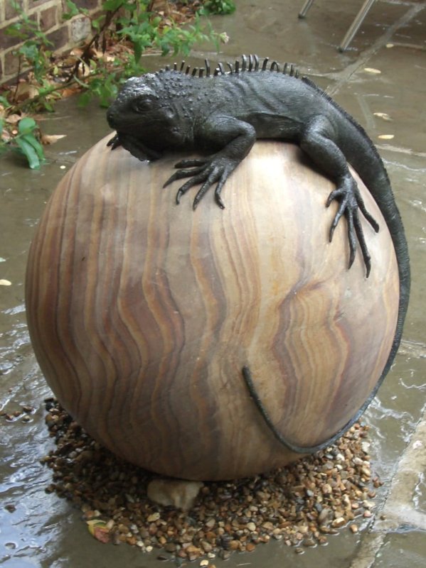 Iguana and Ball