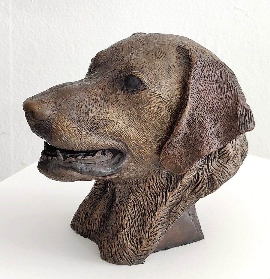 Bronze sculpture of a Labrador head