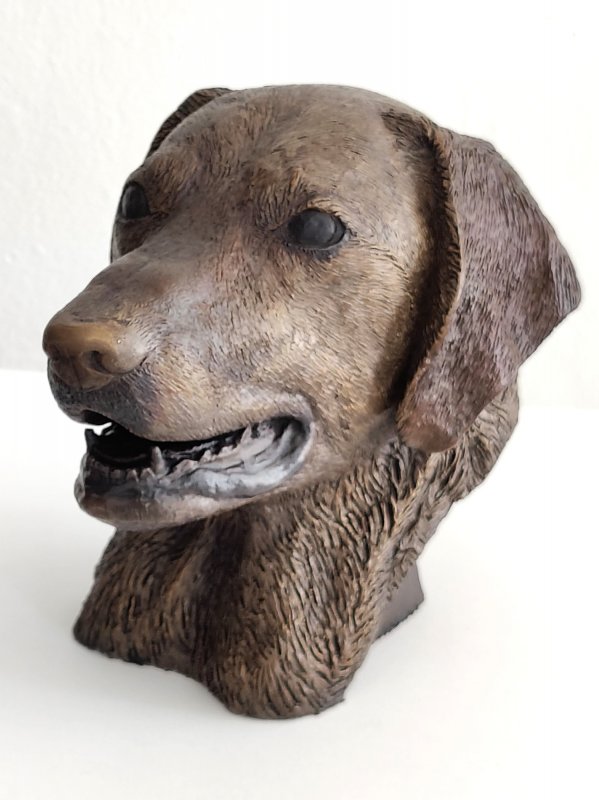 Labrador Portrait Head