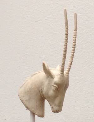 Oryx head modelled in wax