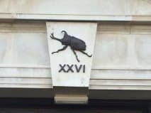 Stag beetle emblem above a door