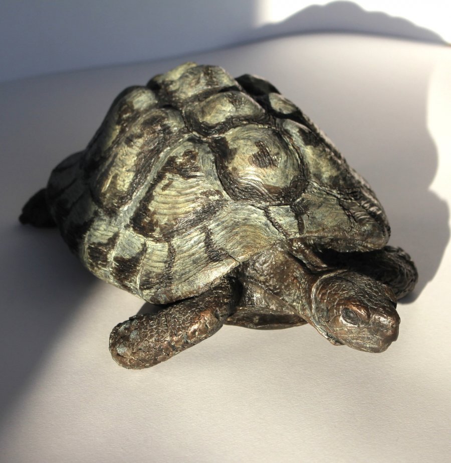 Bronze sculpture of tortoise