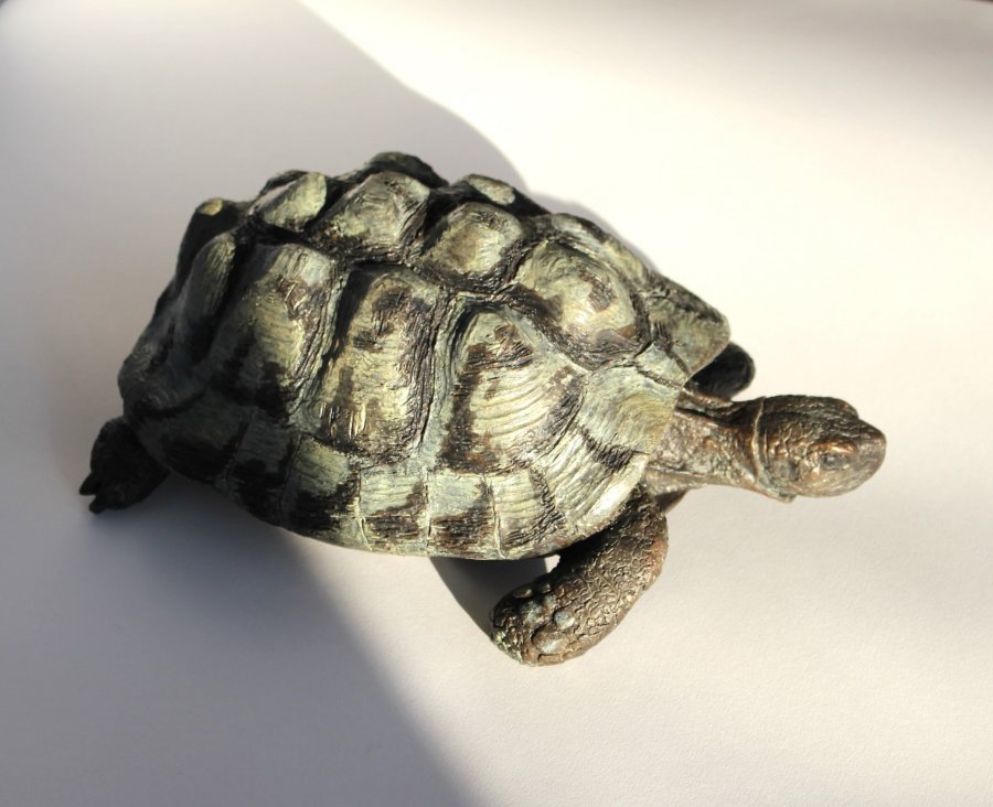 Bronze sculpture of tortoise